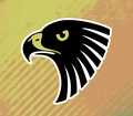 Hawks mascot photo.