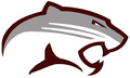 Cougars mascot photo.