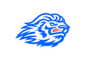 Lions mascot photo.