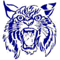Wildcats mascot photo.