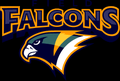 Falcons mascot photo.