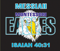 Eagles mascot photo.