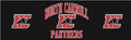 Panthers mascot photo.