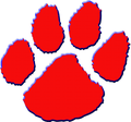 Bearcats mascot photo.