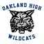 Oakland High School 
