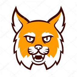 Amandla Charter School