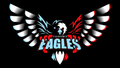 Eagles mascot photo.
