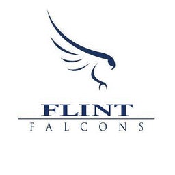 Flint Academy