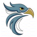 Seahawks mascot photo.