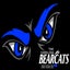 Carolina Bearcats High School 