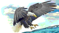 Eagles mascot photo.