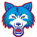 Wolves mascot photo.