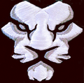 Lions mascot photo.