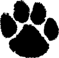 Panthers mascot photo.
