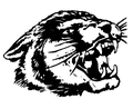 Wildcats mascot photo.
