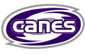Hurricanes mascot photo.