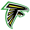 Falcons mascot photo.