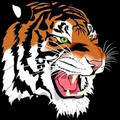 Tigers mascot photo.