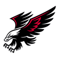Black Hawks mascot photo.