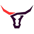 Longhorns mascot photo.