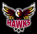 Hawks  mascot photo.