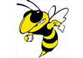 Yellow Jackets mascot photo.