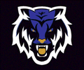 Tigers mascot photo.