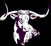 Longhorns mascot photo.