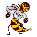 Zee-Bees mascot photo.