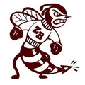 Zee-Bees mascot photo.