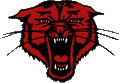 Bearcats mascot photo.