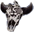 Crusaders mascot photo.