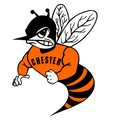 Yellowjackets mascot photo.