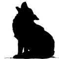 Coyotes mascot photo.