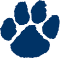 Lions mascot photo.