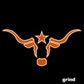 Longhorns mascot photo.