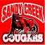Sandy Creek High School 
