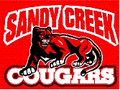 Cougars mascot photo.