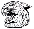 Wildcats mascot photo.