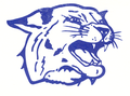 Wildcats mascot photo.