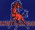 Mustangs mascot photo.