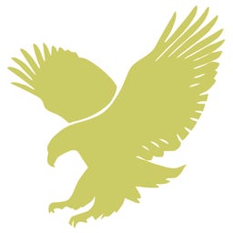 American Youth Academy