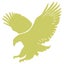American Youth Academy