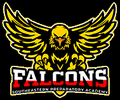 Falcons mascot photo.