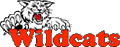 Wildcats mascot photo.
