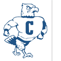 Bluehawks mascot photo.