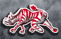 Zebras mascot photo.