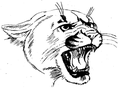Pumas mascot photo.