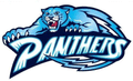 Panthers mascot photo.