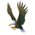 Eagles mascot photo.